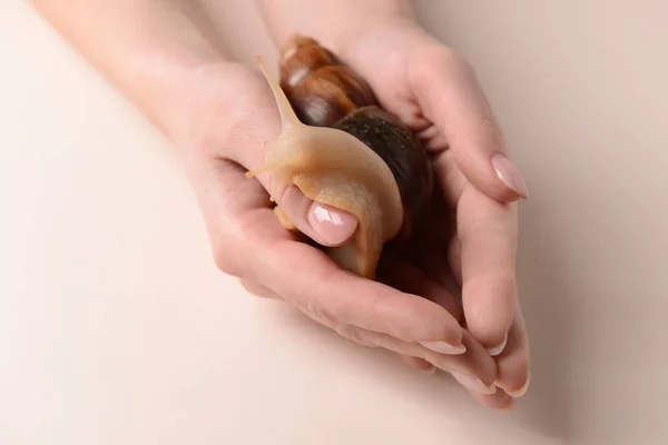 Manos femeninas con caracol gigante Achatina sobre fondo claro — Foto de Stock