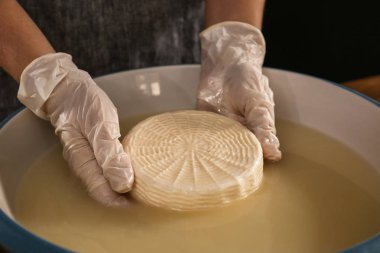 Woman preparing tasty cheese, closeup clipart