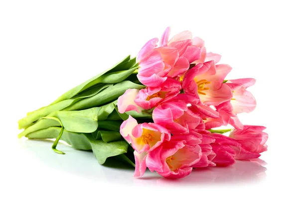 Bouquet of beautiful pink tulip flowers on white background — Stock Photo, Image