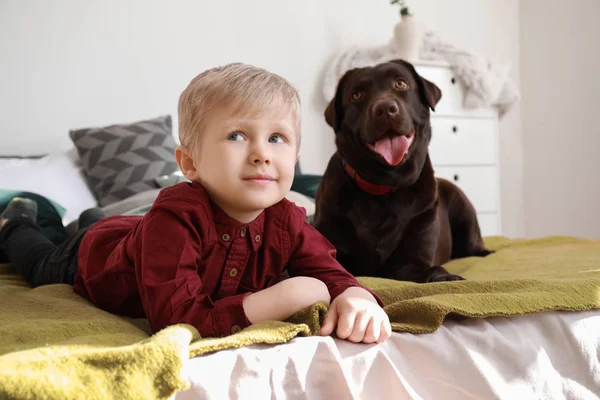 Cute little boy with funny dog at home — Stock Photo, Image