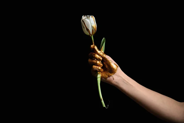 Painted hand with tulip flower against dark background — Stock Photo, Image