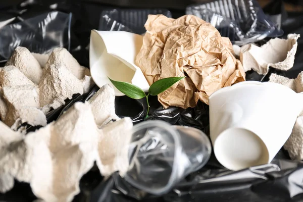 Different garbage and green plant. Concept of recycling — Stock Photo, Image