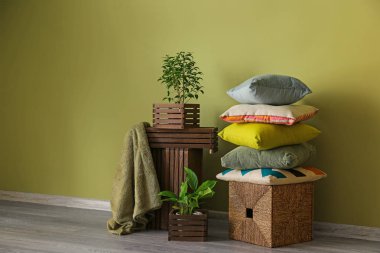 Bitkiler ve renk duvar odadaki yakınındaki yumuşak yastık ile ahşap kutuları