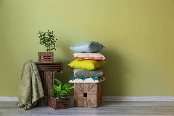 Wooden boxes with plants and soft pillows near color wall in room — Stock Photo, Image