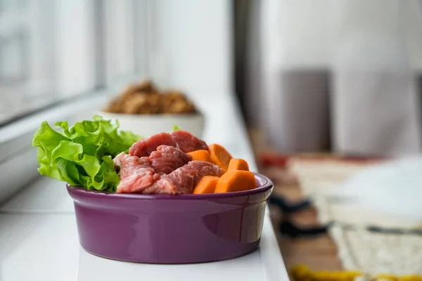 Bowl with fresh pet food on window sill — Stock Photo, Image