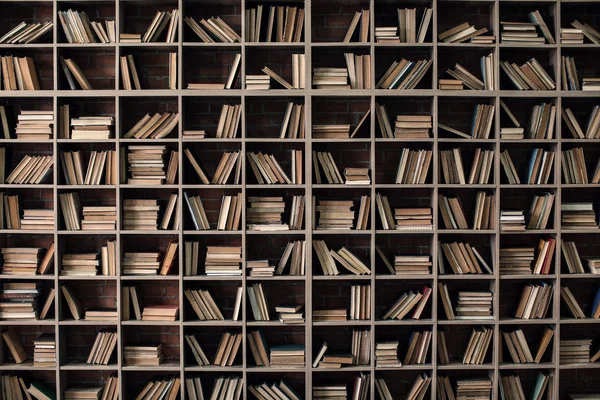 Libri su scaffali in biblioteca — Foto Stock