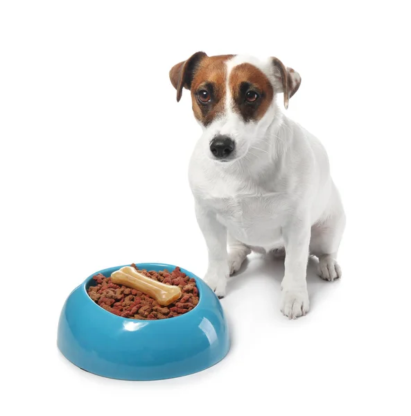 Cute funny dog and bowl with dry food on white background — Stock Photo, Image