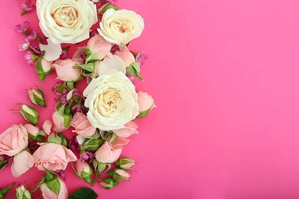 Belas rosas frescas no fundo da cor — Fotografia de Stock