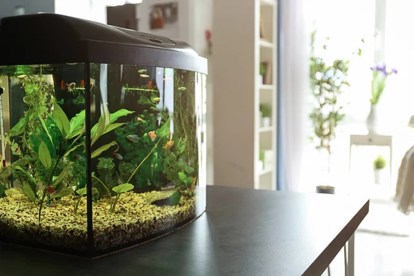 Beautiful aquarium on table in room — Stock Photo, Image