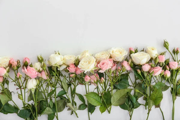 Hermosas rosas frescas sobre fondo blanco — Foto de Stock