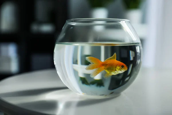 Glas fishbowl op tafel — Stockfoto