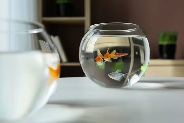 Pesci ciotole di vetro sul tavolo — Foto Stock