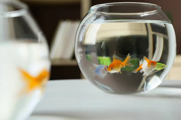 Fischschalen aus Glas auf dem Tisch — Stockfoto