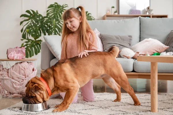 Menina bonito alimentando cão engraçado em casa — Fotografia de Stock