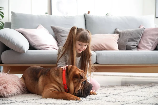 Cute little girl with funny dog at home — Stock Photo, Image