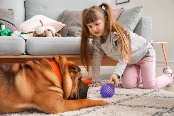 Bonito menina brincando com o cão engraçado em casa — Fotografia de Stock