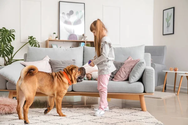 Bonito menina brincando com o cão engraçado em casa — Fotografia de Stock