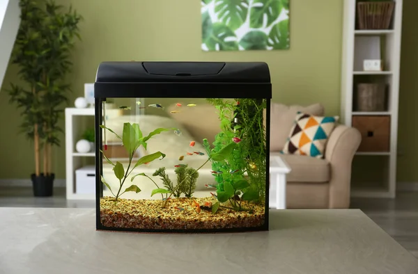 Beautiful aquarium on table in room — Stock Photo, Image
