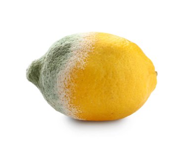 Beyaz arka plan üzerinde küflenmiş limon