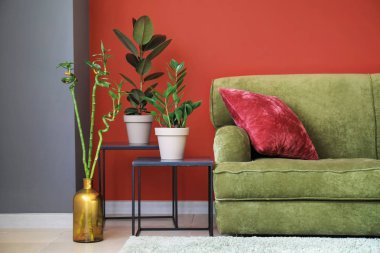 Modern konforlu odanın içi