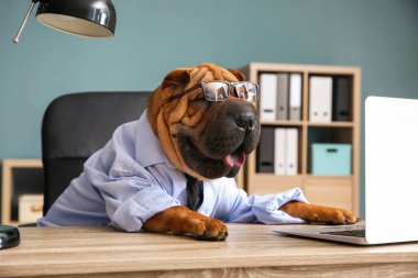 Ofiste işadamı olarak giyinmiş sevimli komik köpek
