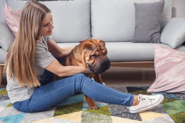 Ev sahibi ile şirin komik köpek