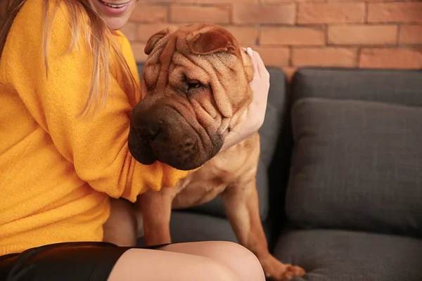 Cão engraçado bonito com proprietário em casa — Fotografia de Stock