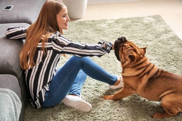 Carino divertente cane con proprietario a casa — Foto Stock