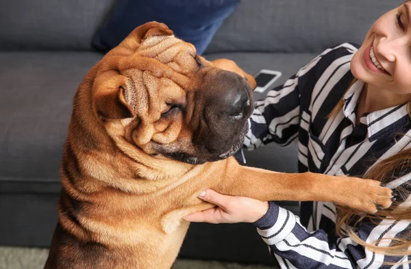 Cão engraçado bonito com proprietário em casa — Fotografia de Stock