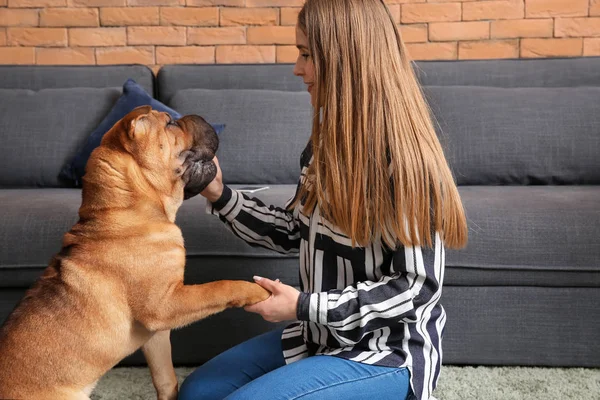 Cão engraçado bonito com proprietário em casa — Fotografia de Stock