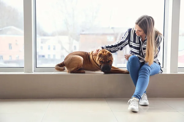 Cute funny dog with owner near window — Stock Photo, Image
