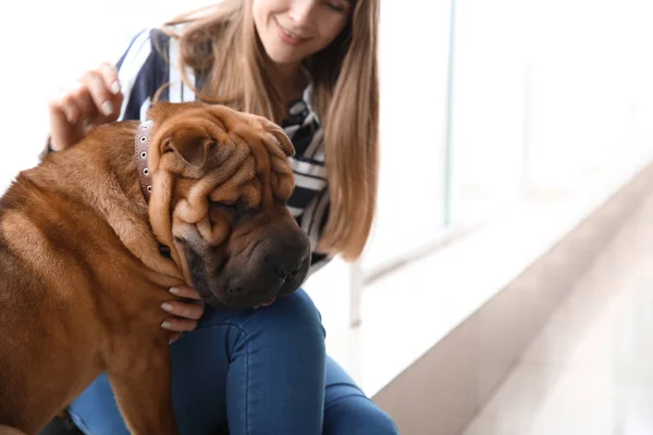 Lindo perro divertido con propietario cerca de la ventana — Foto de Stock