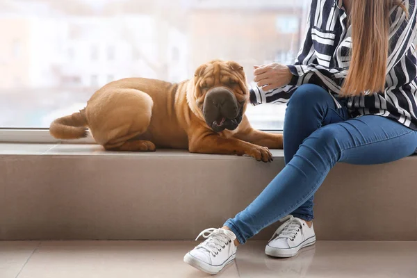 Lindo perro divertido con propietario cerca de la ventana — Foto de Stock