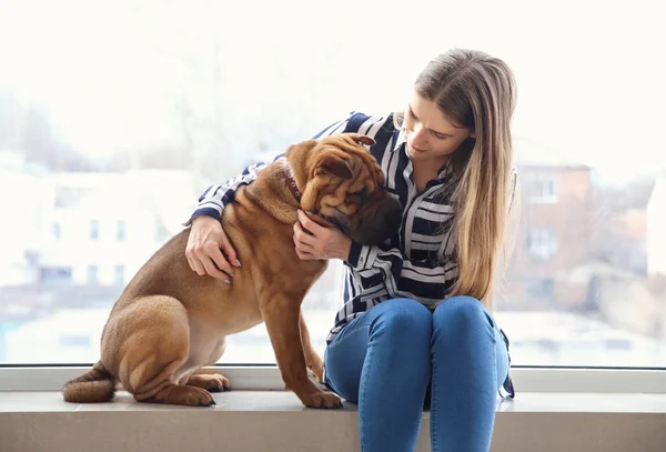 Cute funny dog with owner near window — Stock Photo, Image