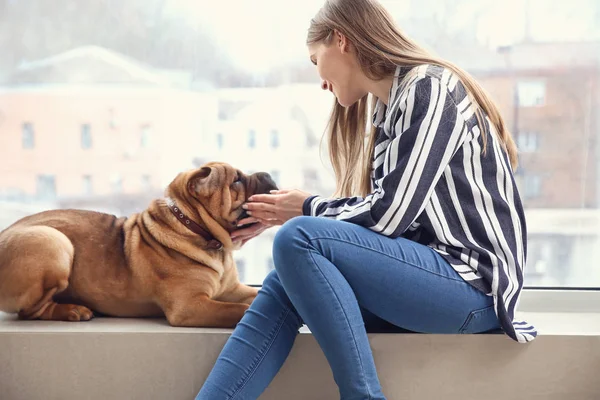 Lindo perro divertido con propietario cerca de la ventana — Foto de Stock