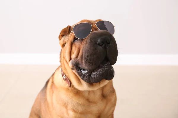 Cute funny dog with sunglasses in room