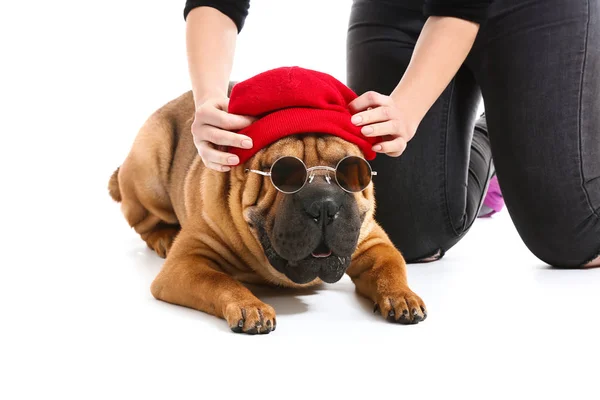 Cute zabawny pies z kapeluszem i okulary przeciwsłoneczne na białym tle — Zdjęcie stockowe