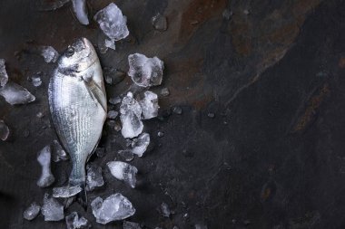 Taze balık ve buz üzerinde tablo