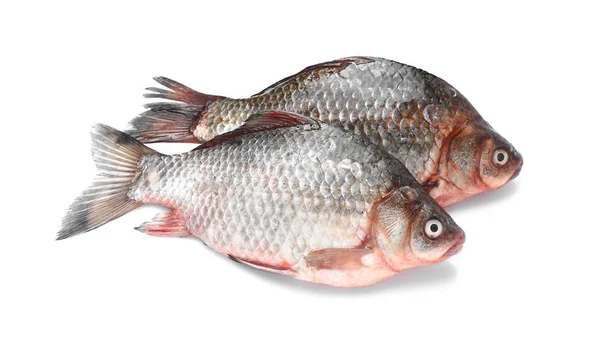 Peixe fresco no fundo branco — Fotografia de Stock
