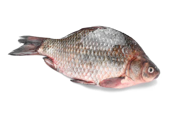 Peixe fresco no fundo branco — Fotografia de Stock