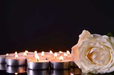 Many burning candles as symbol of mourning and flower on dark background clipart