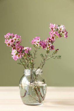 Renk arka plan masaya güzel çiçek ile jar