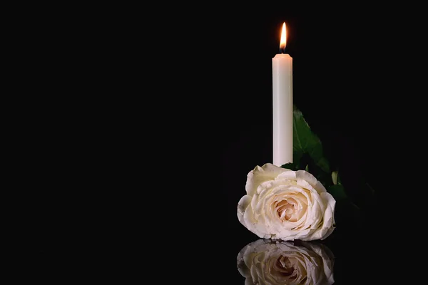 Burning candle and flower on black background