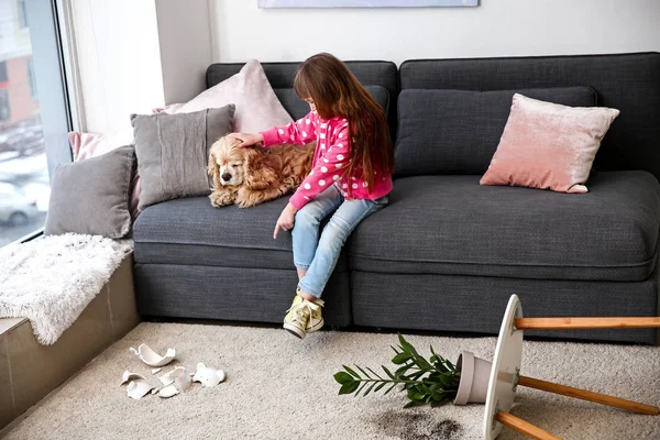 Little girl with dog, dropped houseplant and broken piggy bank on carpet — Stock Photo, Image