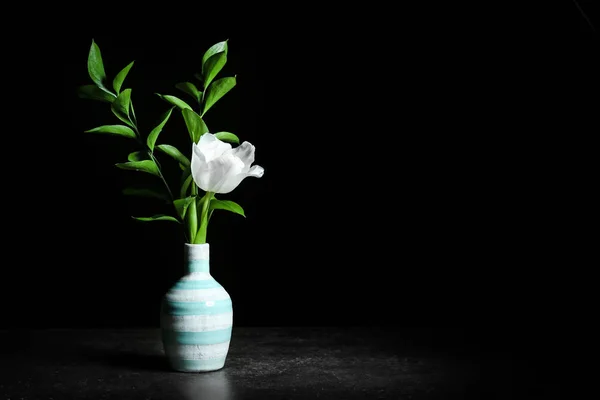 Vaso com bela flor no fundo escuro — Fotografia de Stock