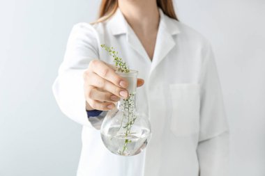 Doktor tutan cep şişesi bitkiler, closeup ile