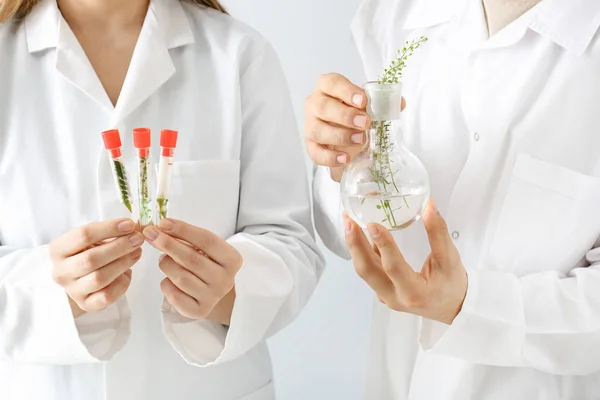 Doctors holding test tubes and flask with plants on white background — Stock Photo, Image