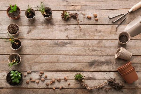 Composição com ferramentas de jardinagem e plantas em fundo de madeira — Fotografia de Stock