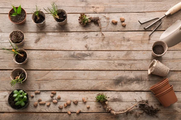 Composition with gardening tools and plants on wooden background — Stock Photo, Image