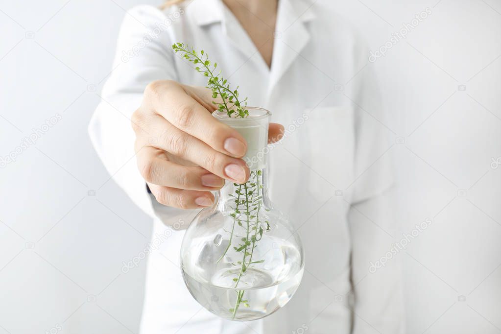 Doctor holding flask with plants, closeup